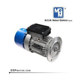 الکتروموتور mgm ایتالیا
